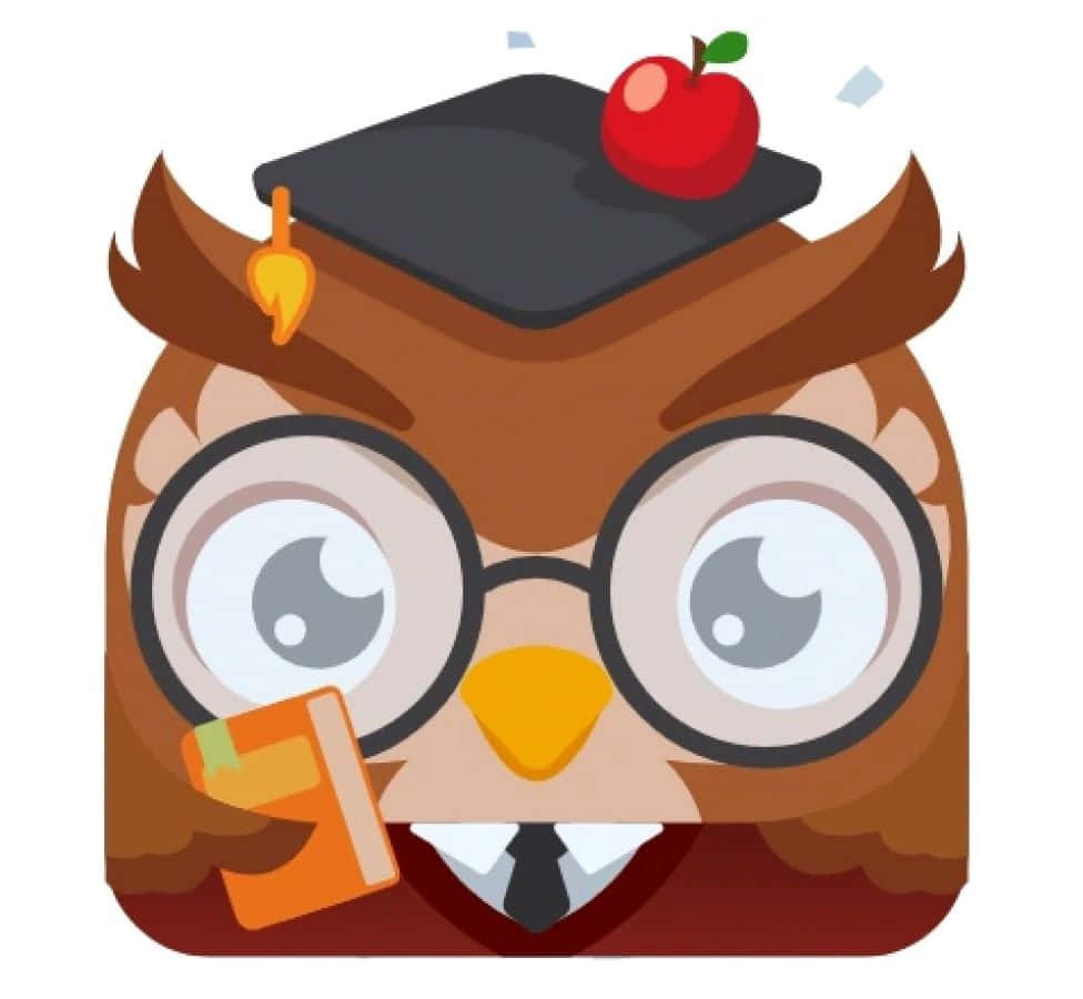 Graduate Owl Cartoon Character Wallpaper