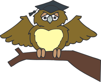 Graduate Owl Cartoon PNG