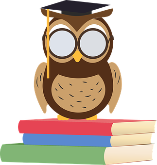 Graduate Owlon Books PNG