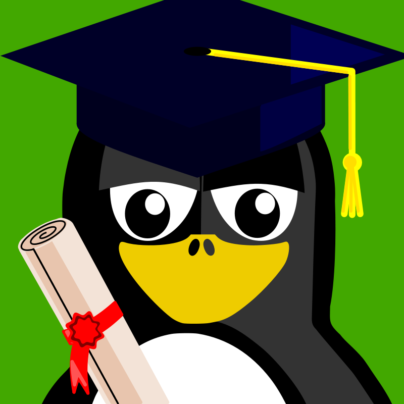 Graduated Penguin Cartoon PNG