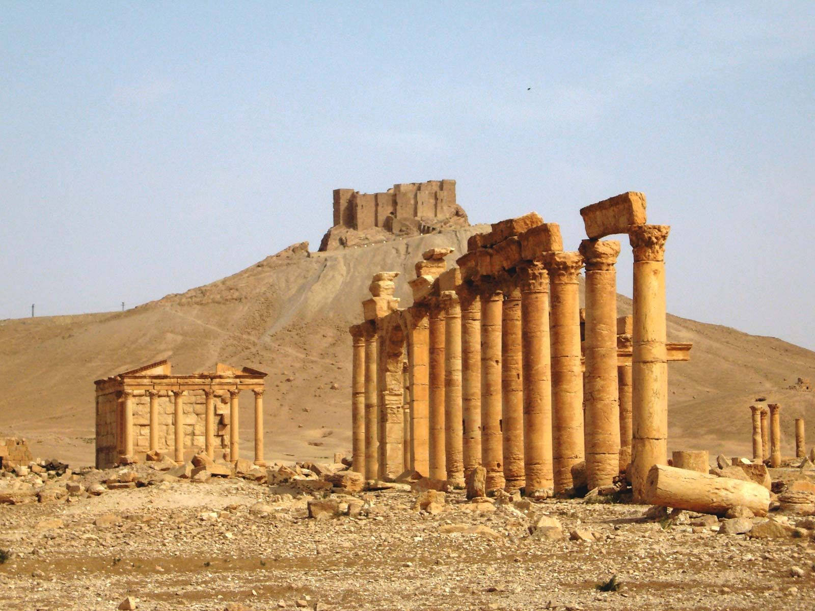 Callecolumnada Greco-romana En Palmyra. Fondo de pantalla