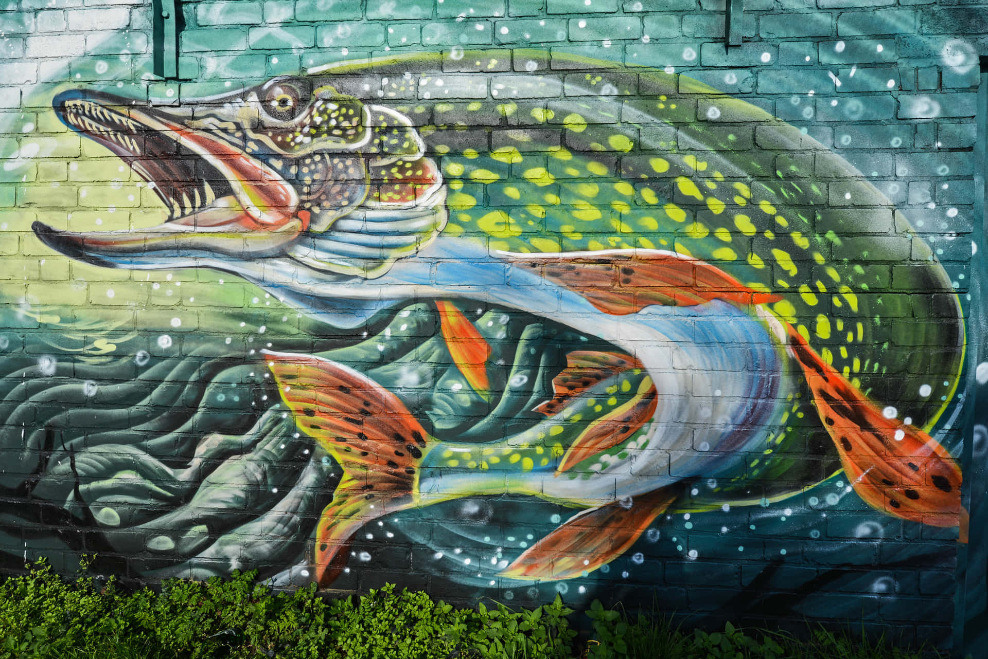 Muralegraffiti Colorato In Un Paesaggio Urbano Sfondo