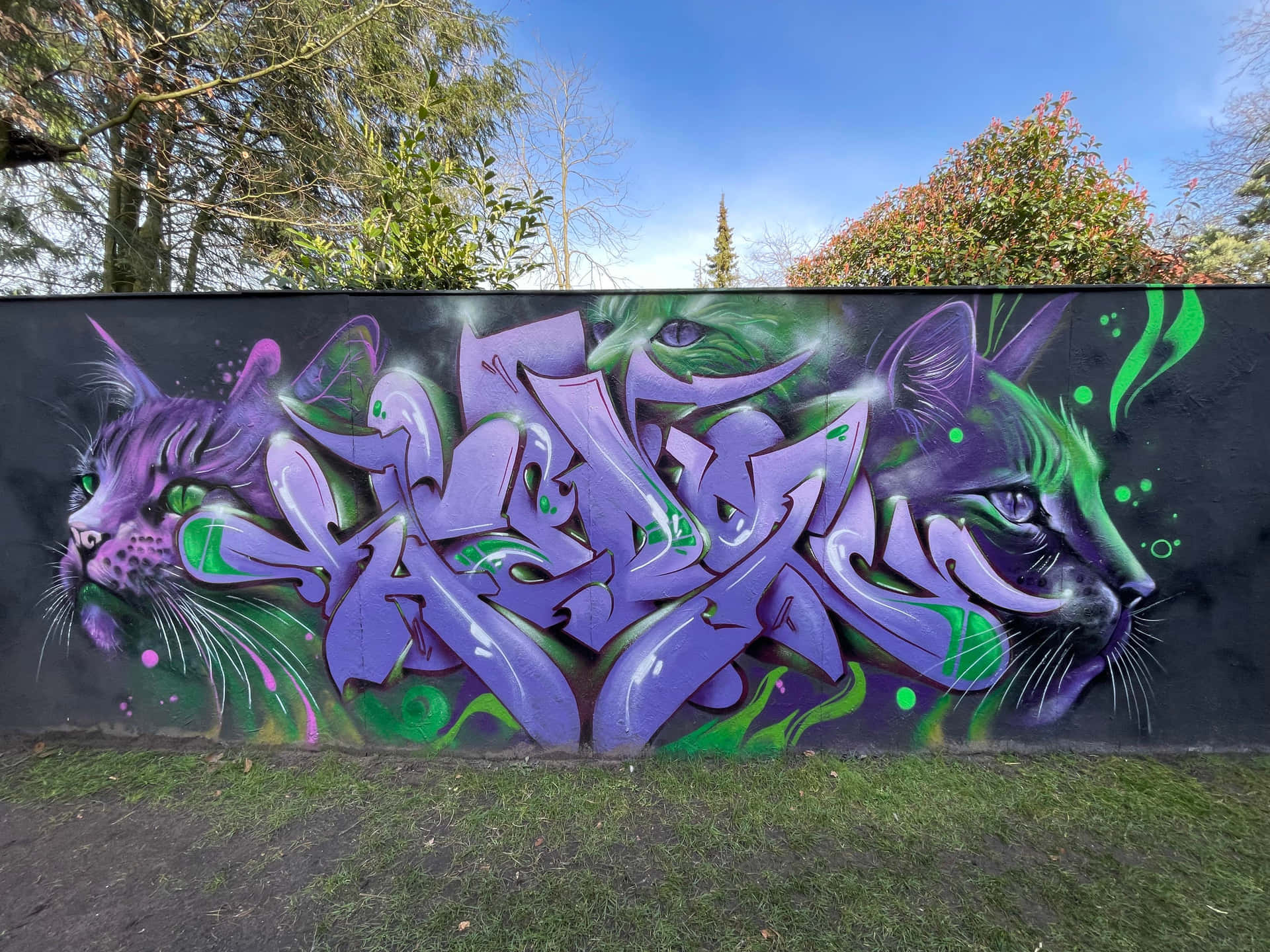 Graffiti Bilder 4032 X 3024