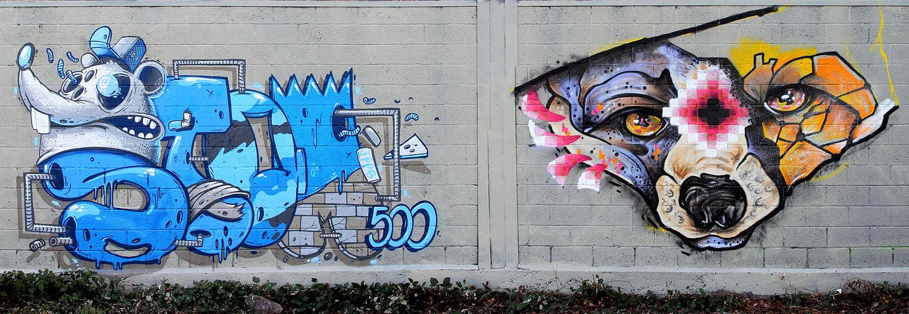 Graffiti Pictures