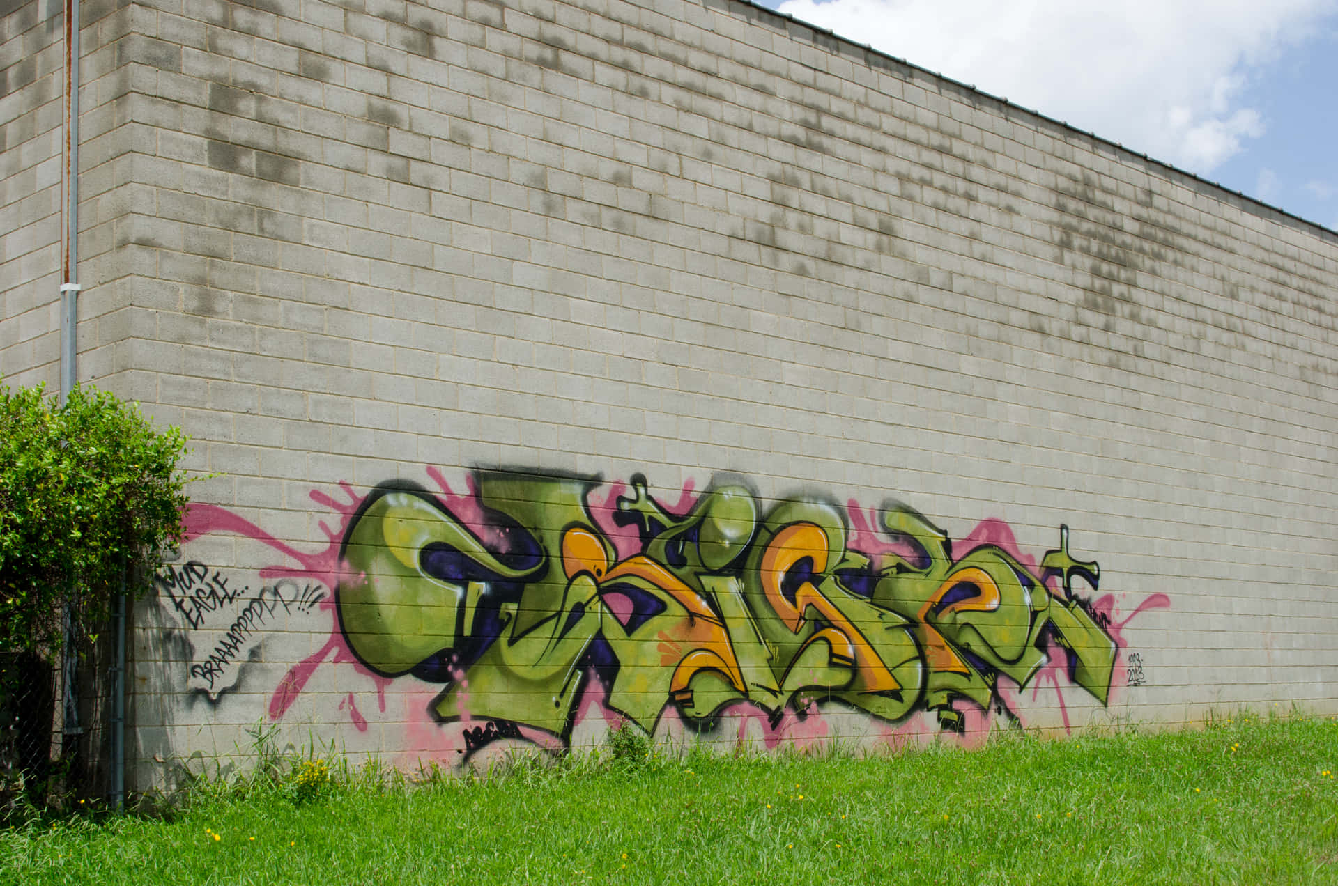 Graffiti Wall Art On The Grassy Field Background