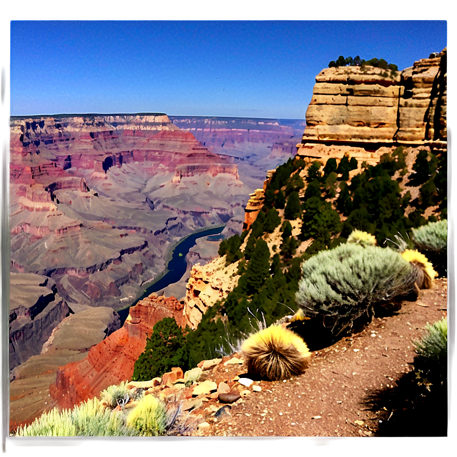 Grand Canyon Historical Exploration Png Uht PNG