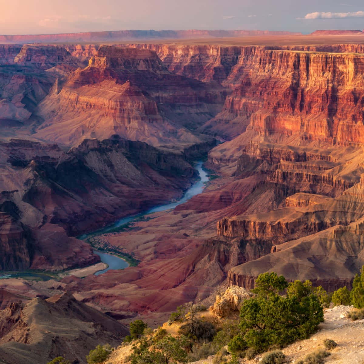 Immaginidel Fiume Del Grand Canyon.