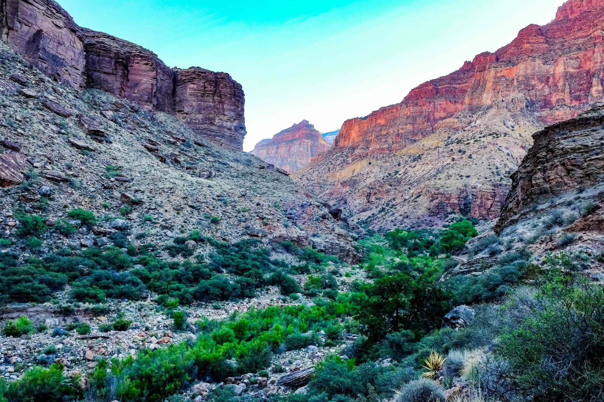 Unavista Iconica Del Grand Canyon