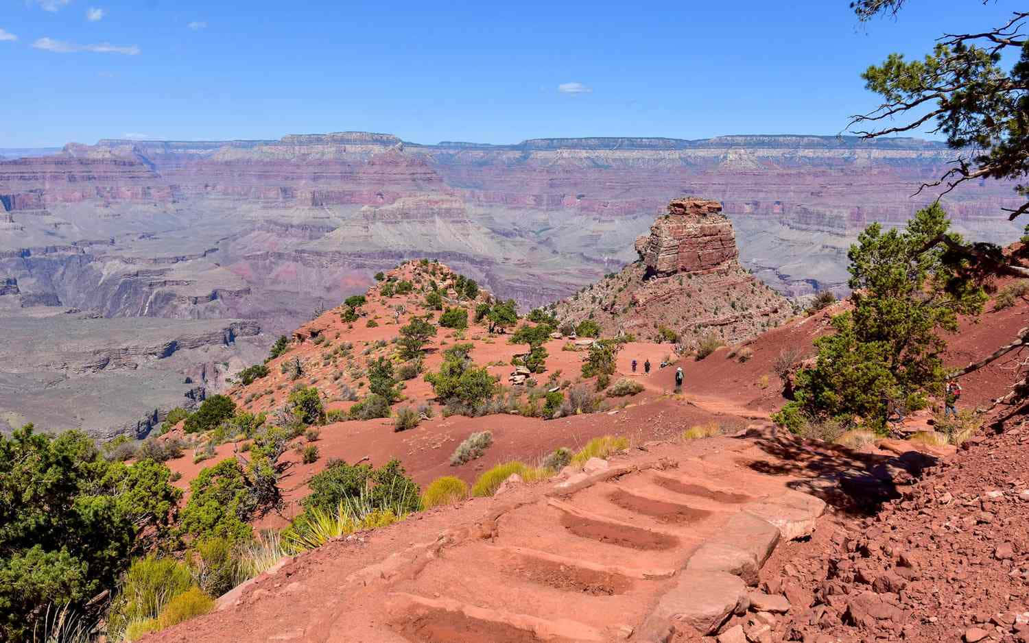 "Experience Nature at the Grand Canyon"