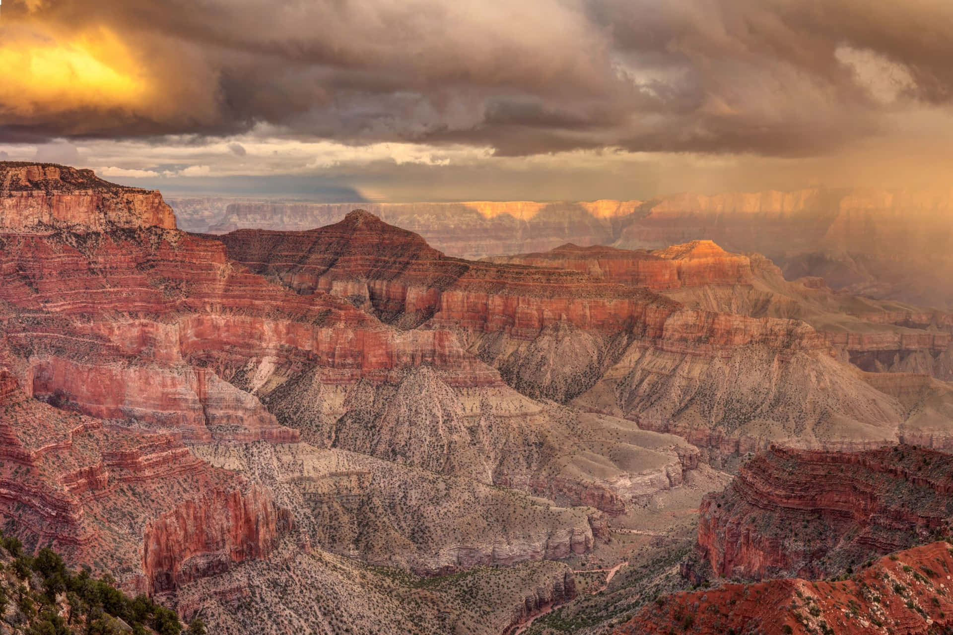 Stenigöken Grand Canyon Bilder