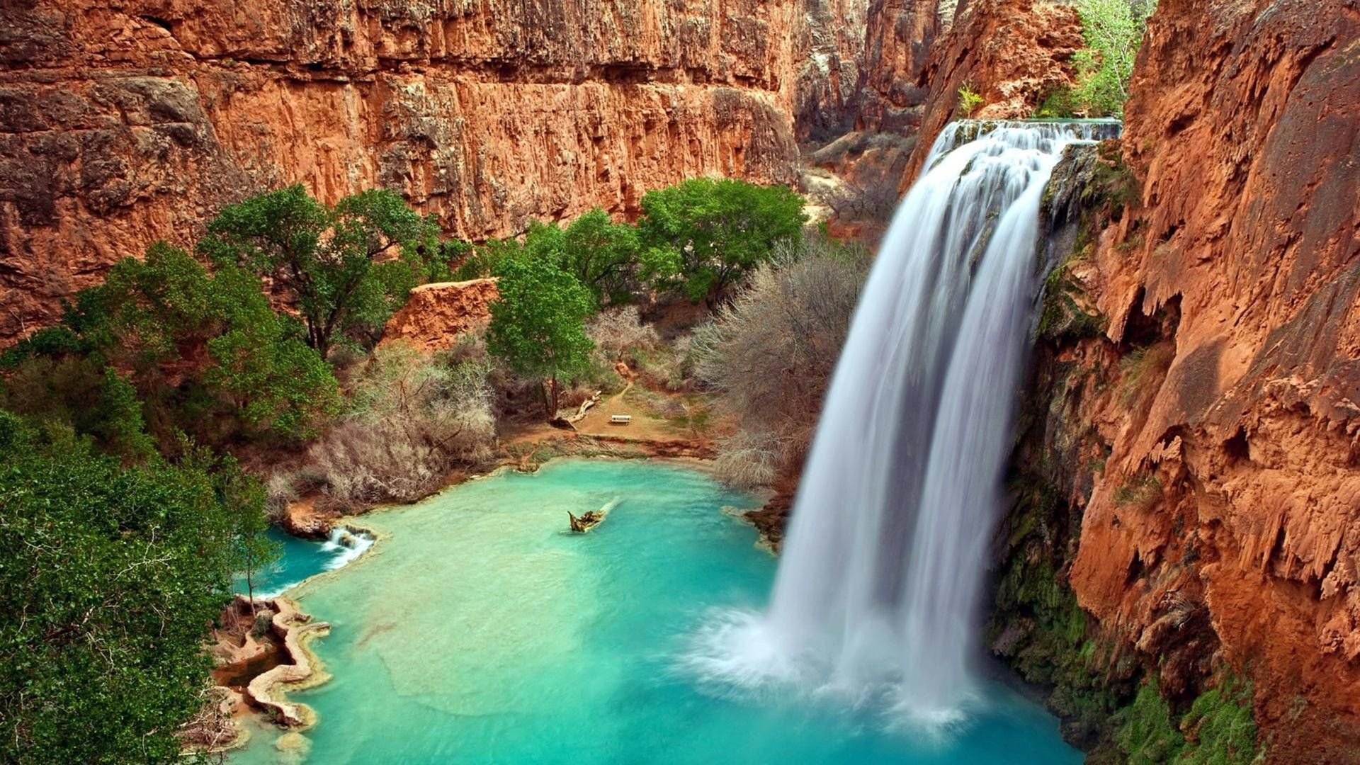 Grand Canyon's Havasu Falls Hd Waterfall Wallpaper
