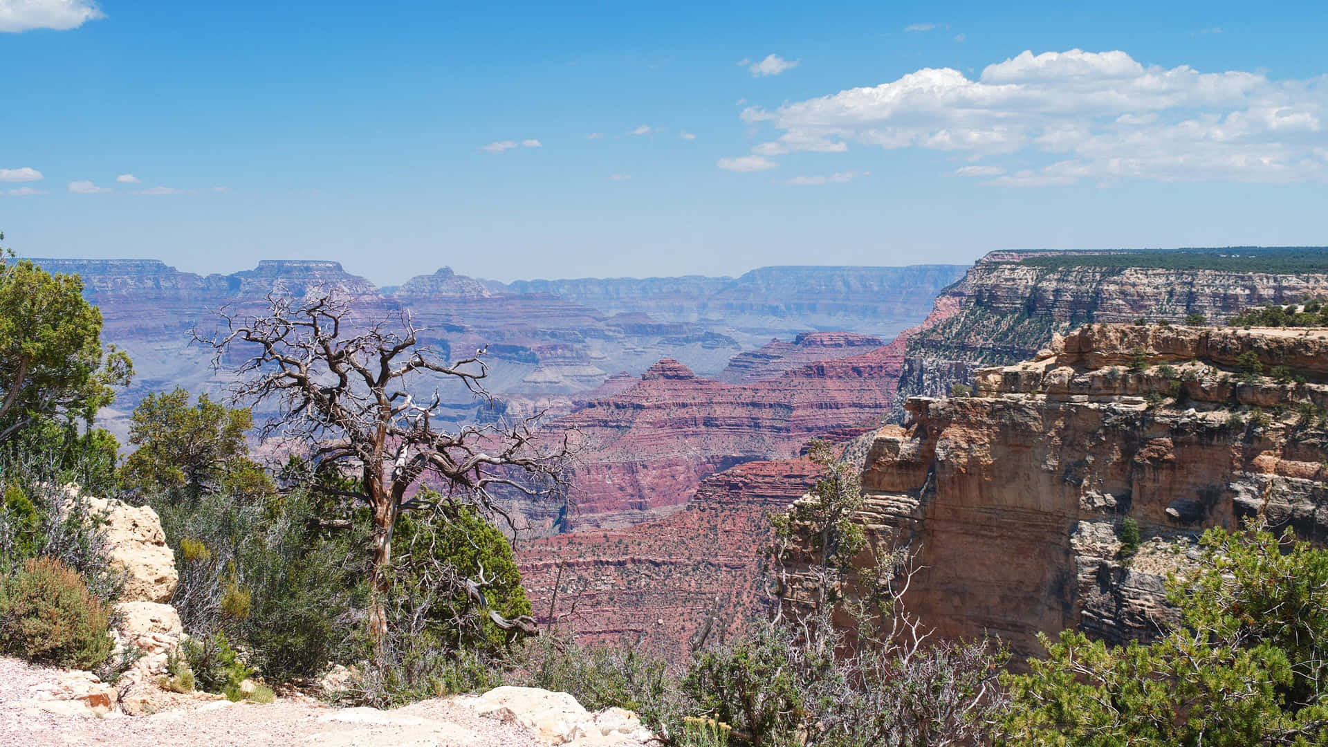 Grand Canyon Uitzicht 4k Achtergrond