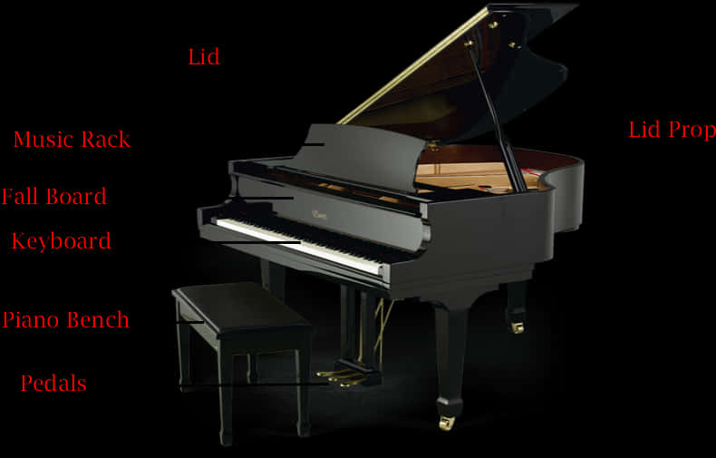 Grand Piano Parts Identification PNG