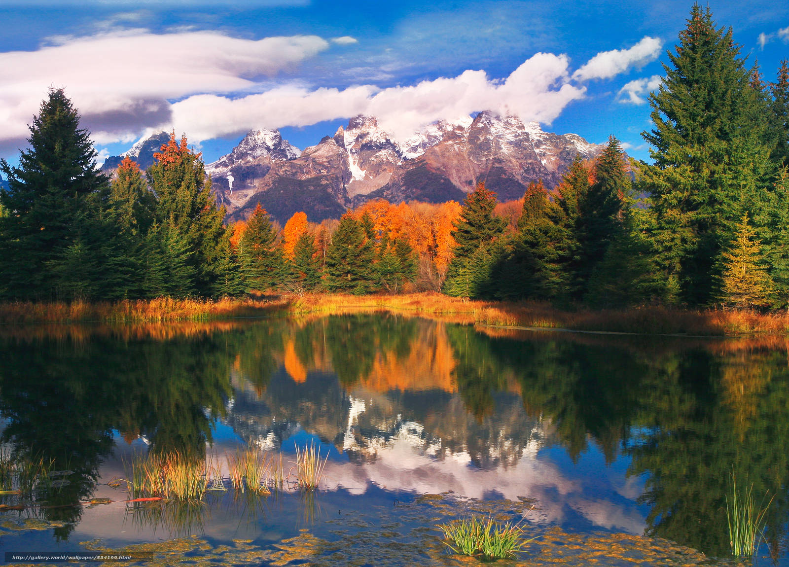 Grand Teton National Park Autumn Day Wallpaper