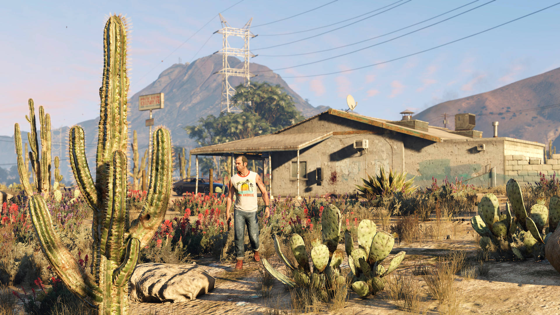 Grand Theft Auto V Trevor Desert Plants Wallpaper