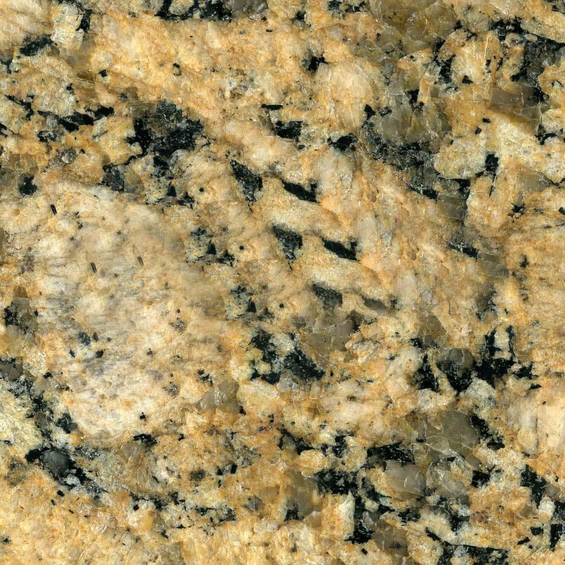 Granite countertop in a contemporary kitchen