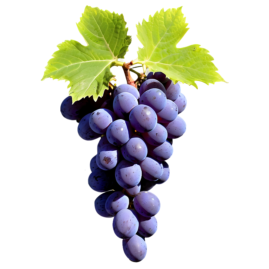 Grape Background Png Jcj85 PNG
