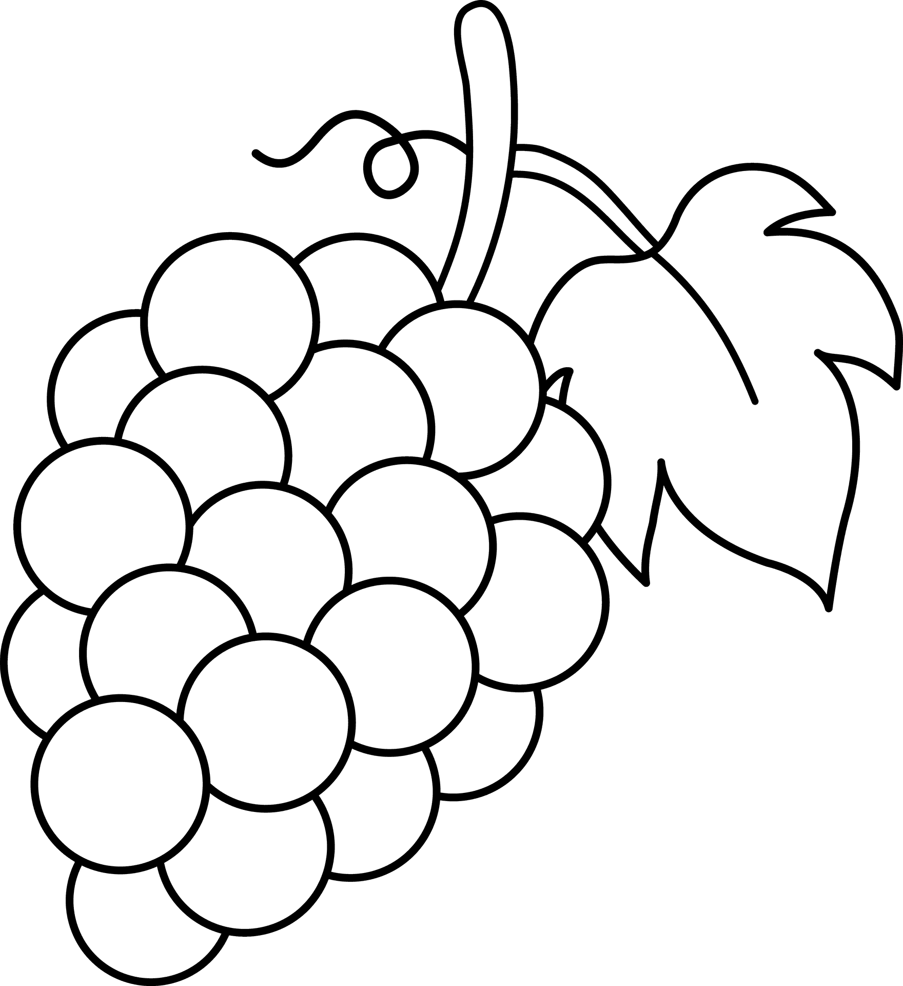 Grape Cluster Line Art PNG