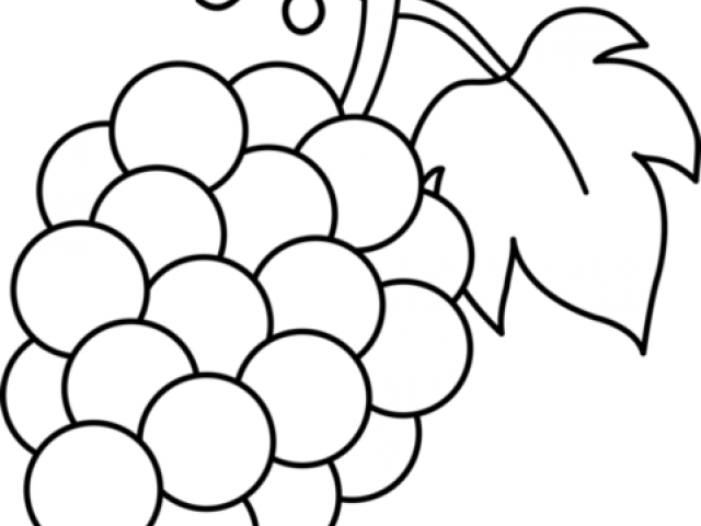 Grape Cluster Line Art PNG