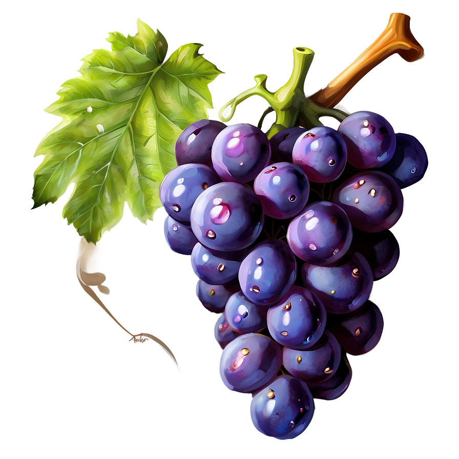 Grape Illustration Png 3 PNG