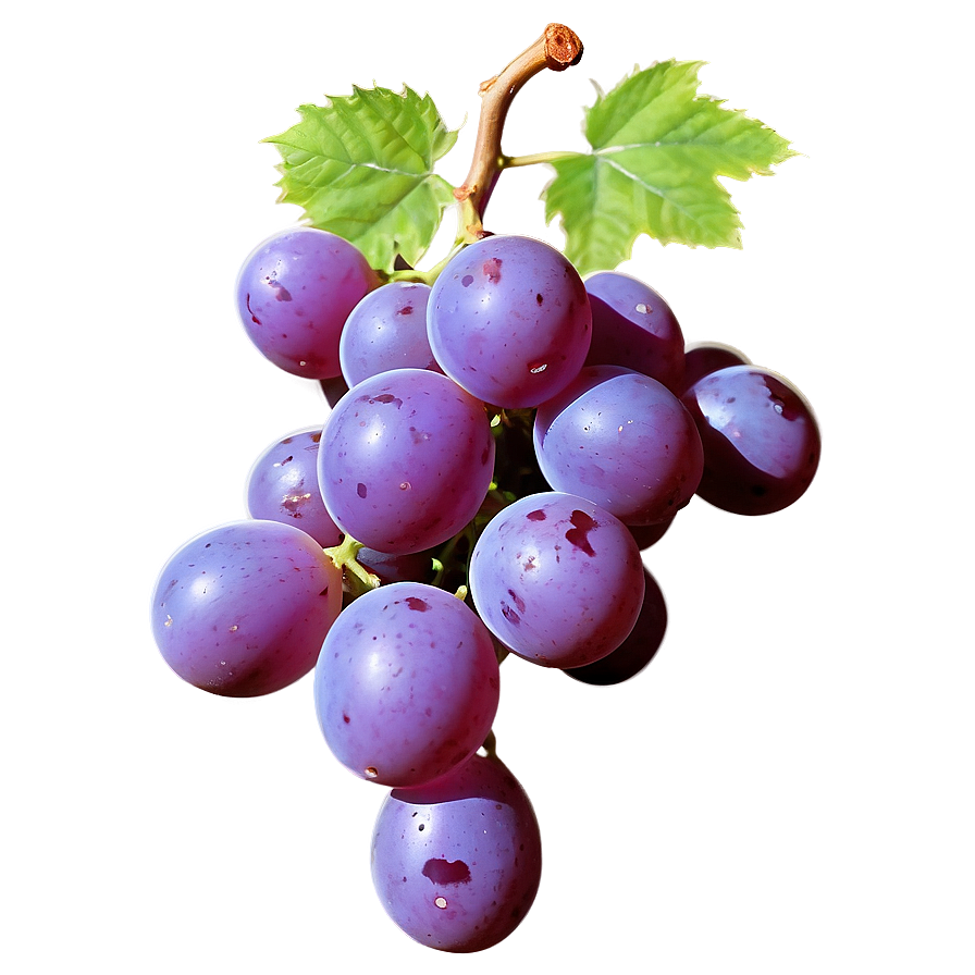 Grape Outline Png Ber PNG