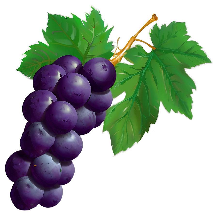 Grape Silhouette Png Wst PNG