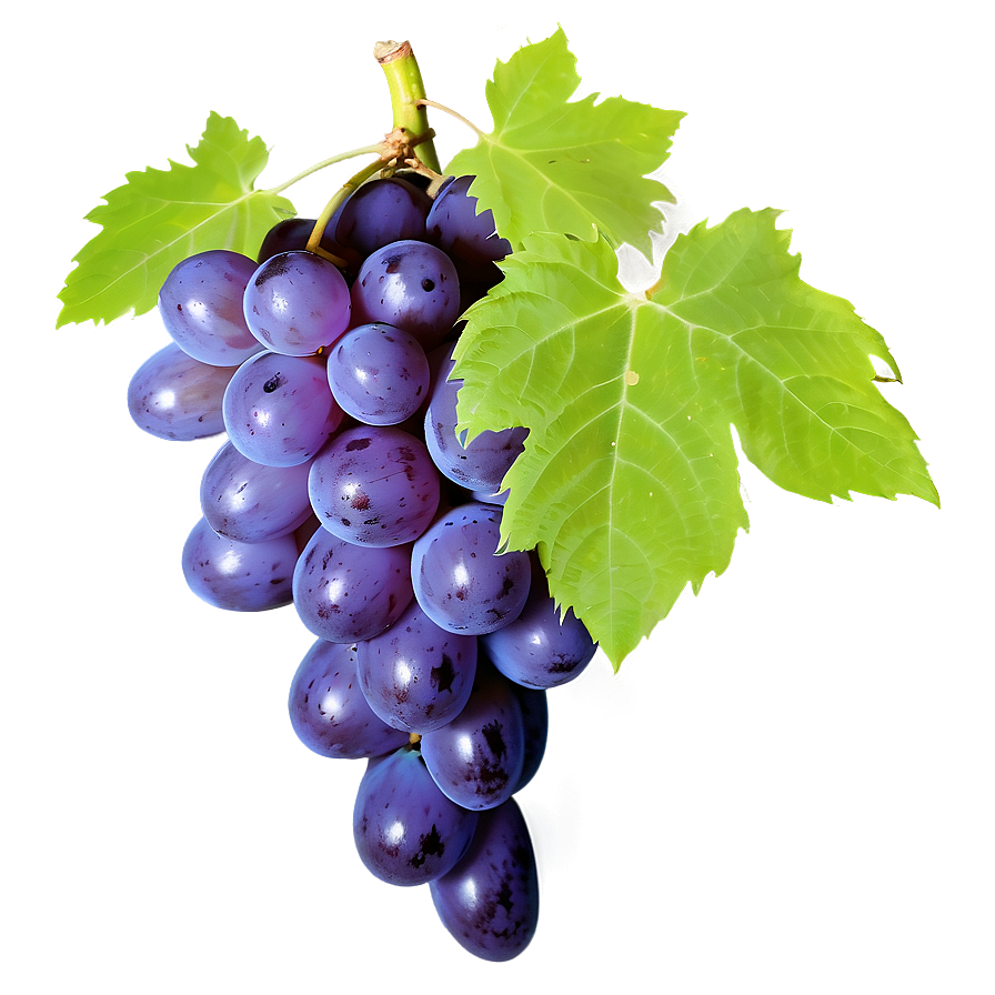 Grape Texture Png Hay58 PNG