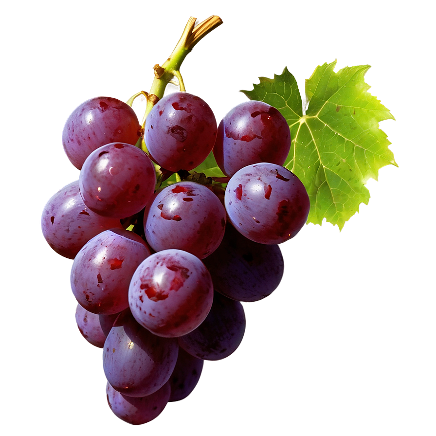 Grape Texture Png Mbt76 PNG