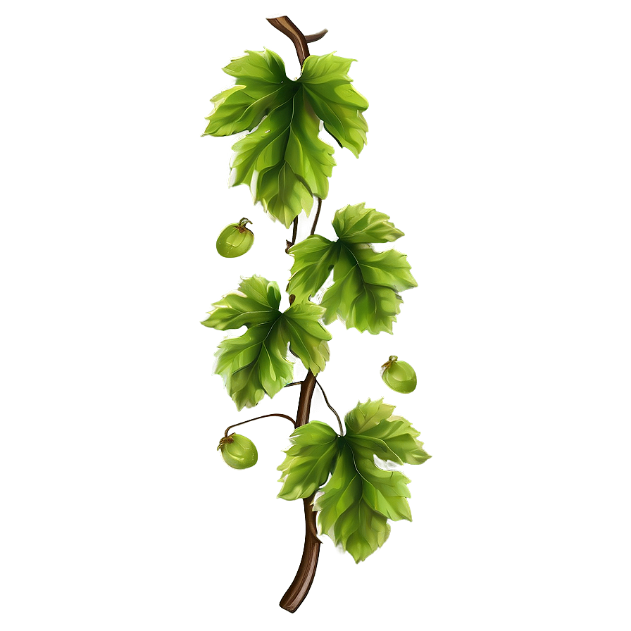 Grape Vine Border Png 67 PNG