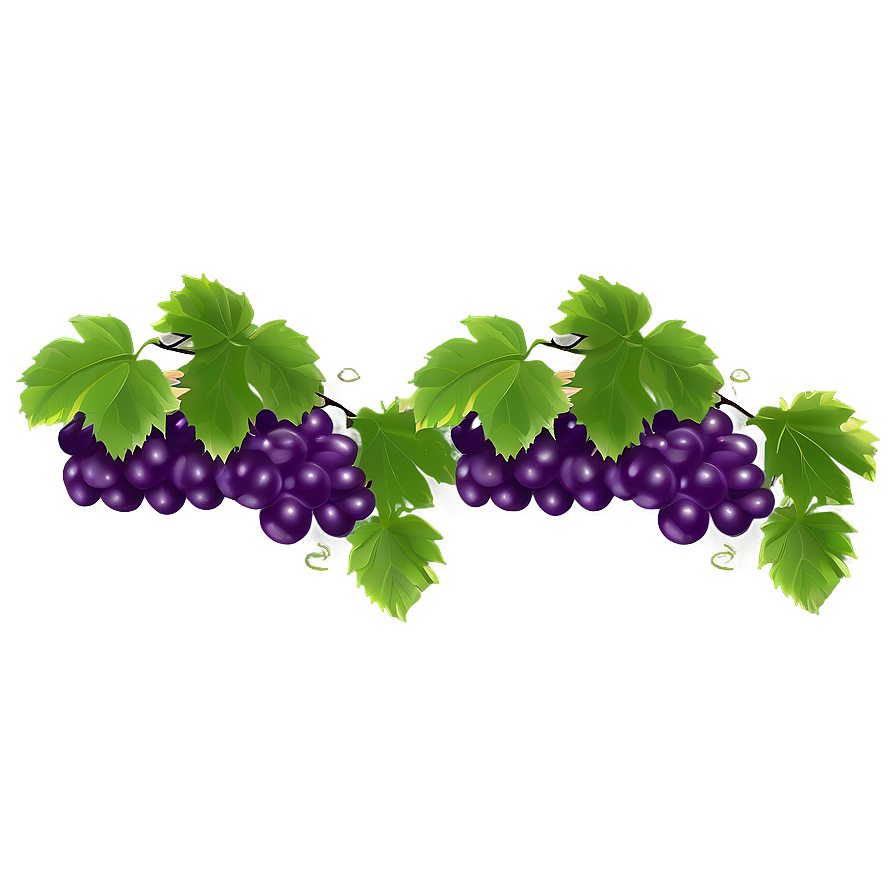 Grape Vine Png 43 PNG