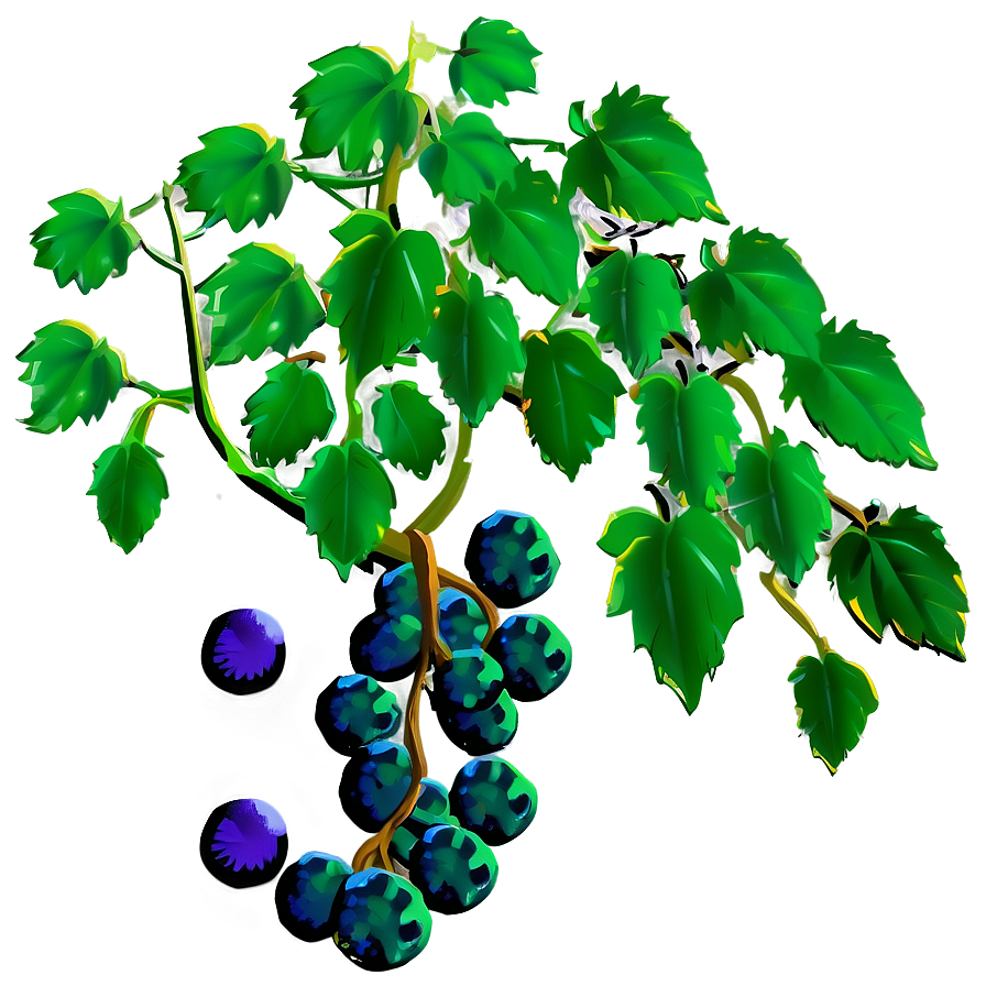 Grape Vine Png 89 PNG