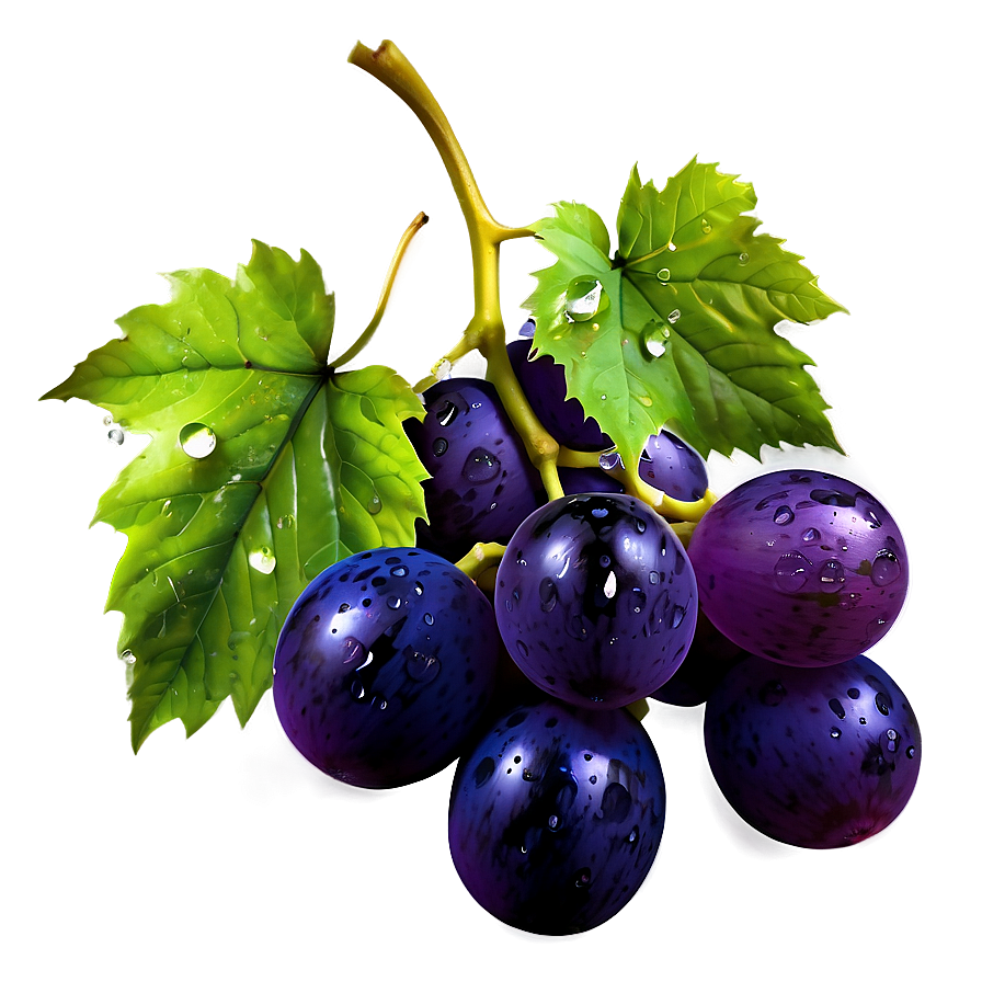 Grape With Dew Png 32 PNG