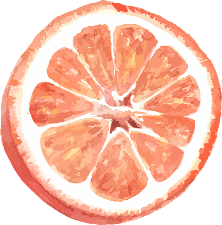 Grapefruit Slice Artistic Rendering PNG