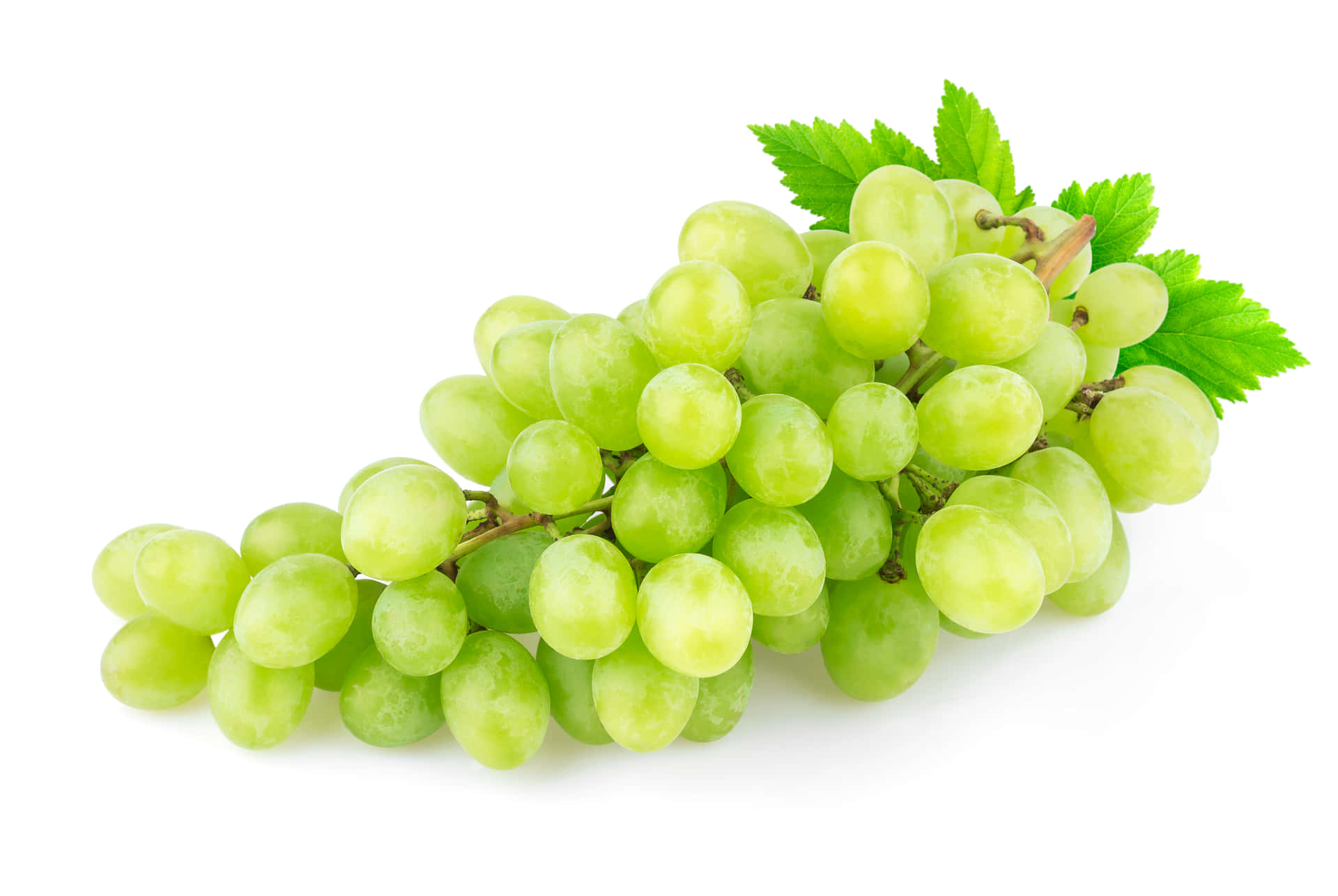 Download Grapes 4398 X 2945 Background | Wallpapers.com