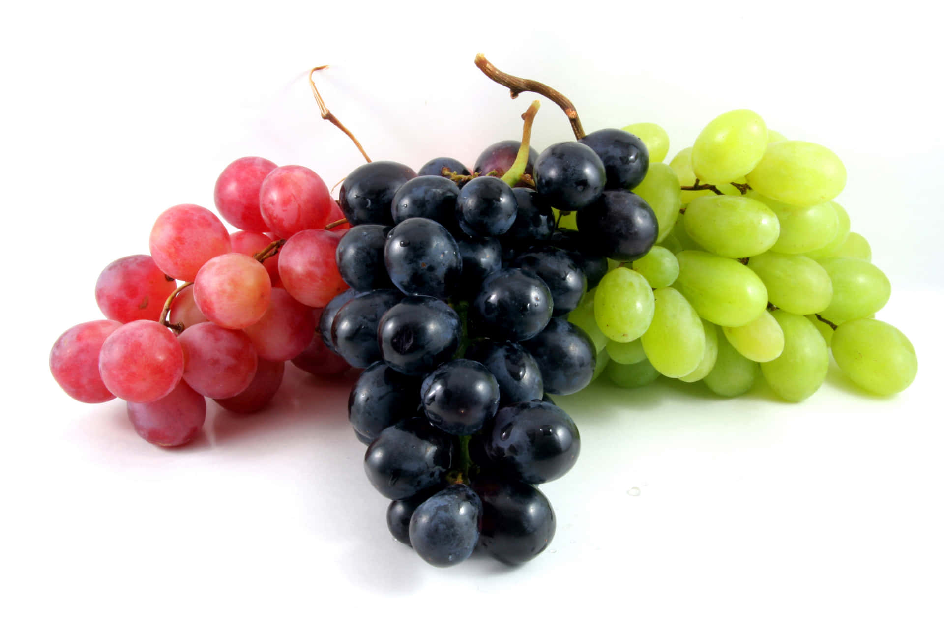 Grapes on Vine in Sunlight
