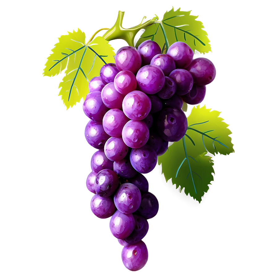 Download Grapes Decoration Png Lkr | Wallpapers.com