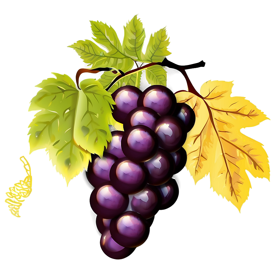 Download Grapes Vector Png 05242024 | Wallpapers.com