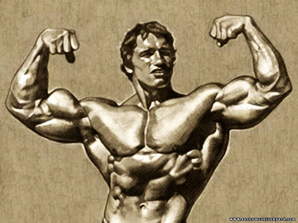 Graphic Art Of Arnold Schwarzenegger Picture