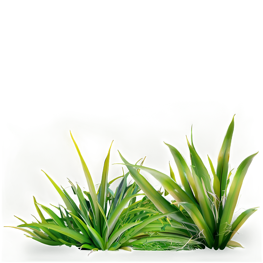 Grass A PNG