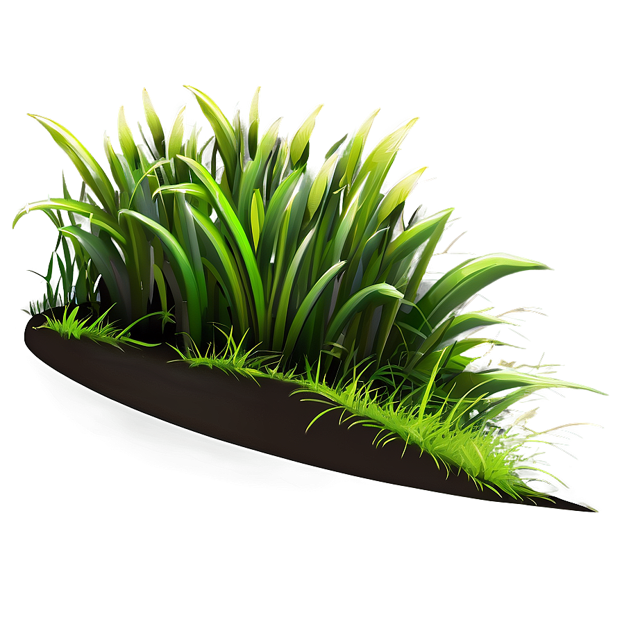 Grass A PNG