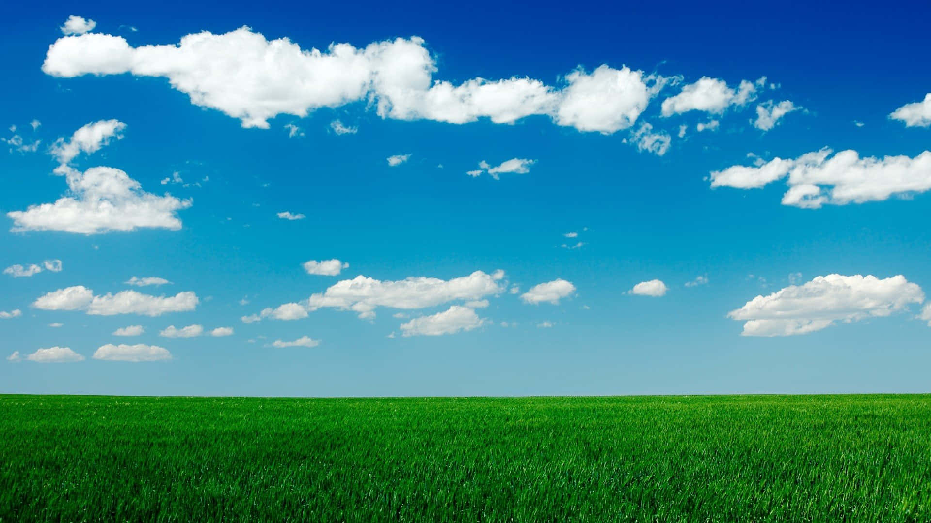 Open Grass Field And Sky Background