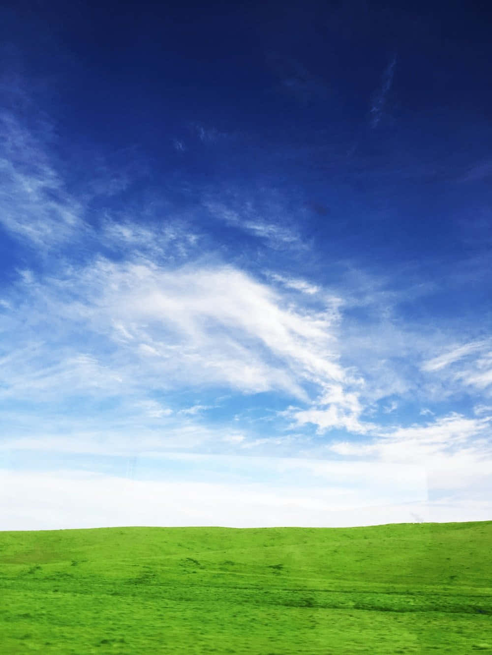 Summer Nature Green Grass And Sky Background
