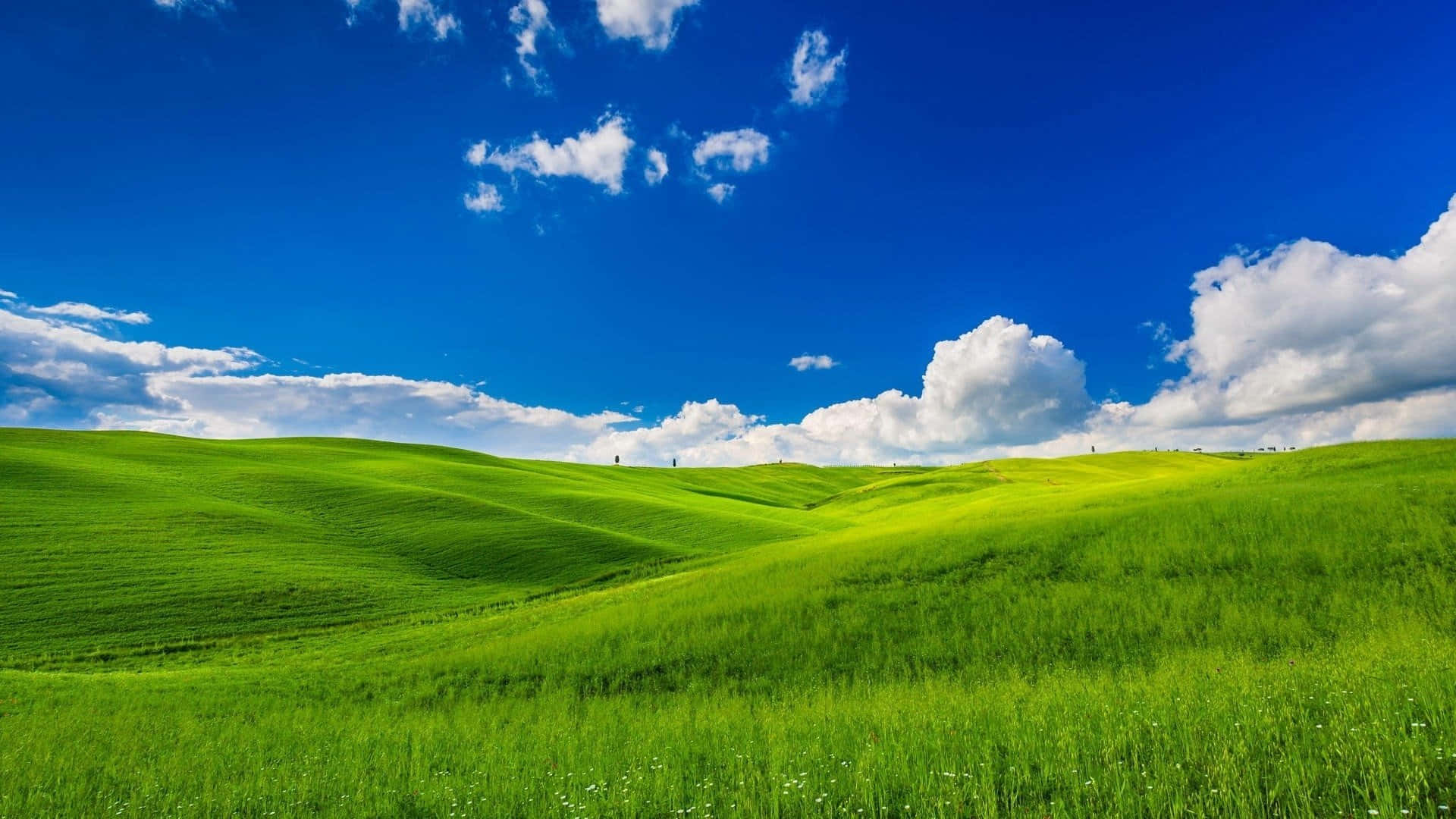 Windows XP Grass Hill And Sky Background