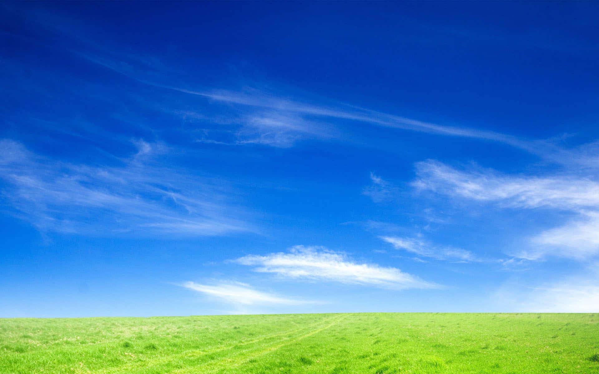 Green Nature Grass And Sky Background