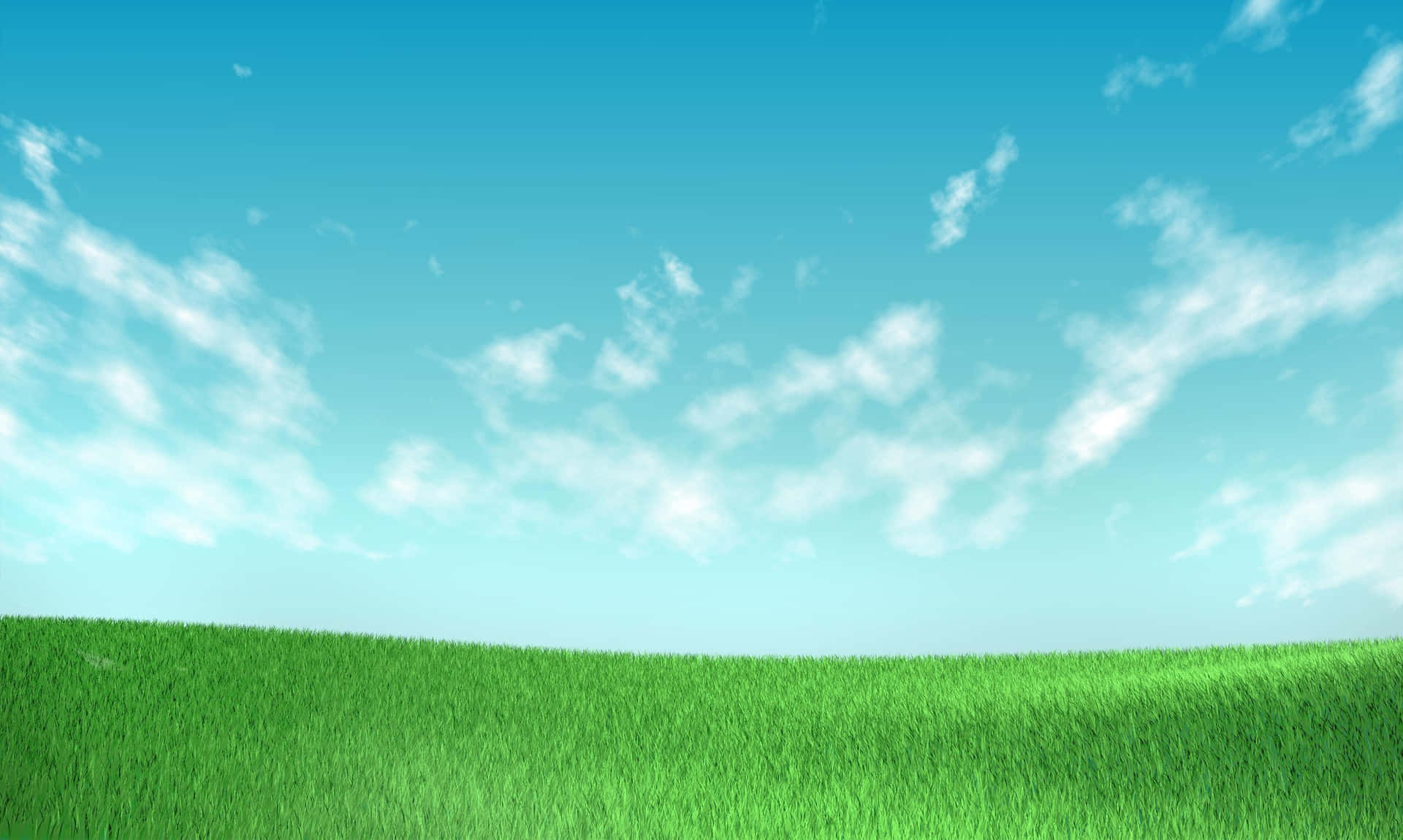 Panorama View Of Grass And Sky Background