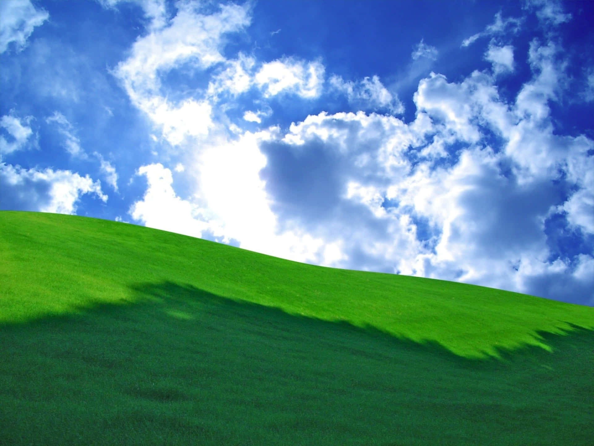 Grass Terrain And Blue Sky Background