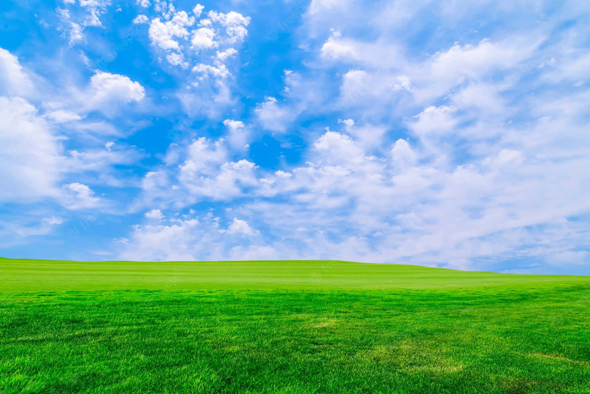 Nature Landscape Grass And Sky Background