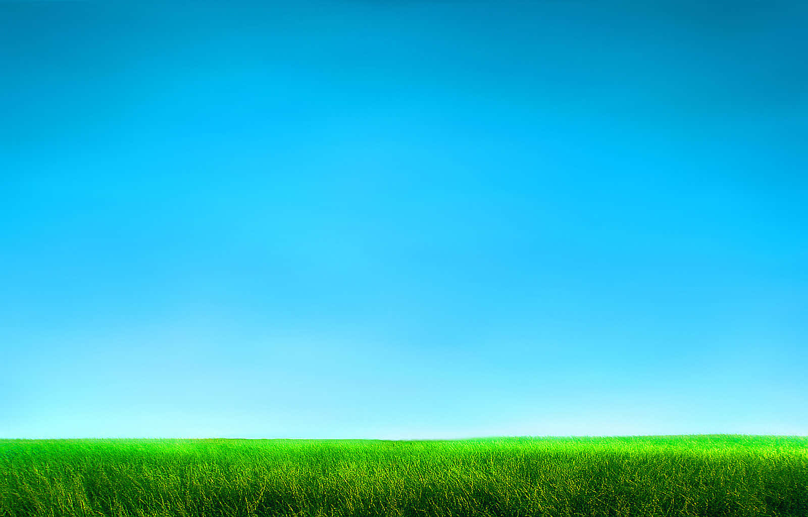 Vertical Landscape Grass And Sky Background