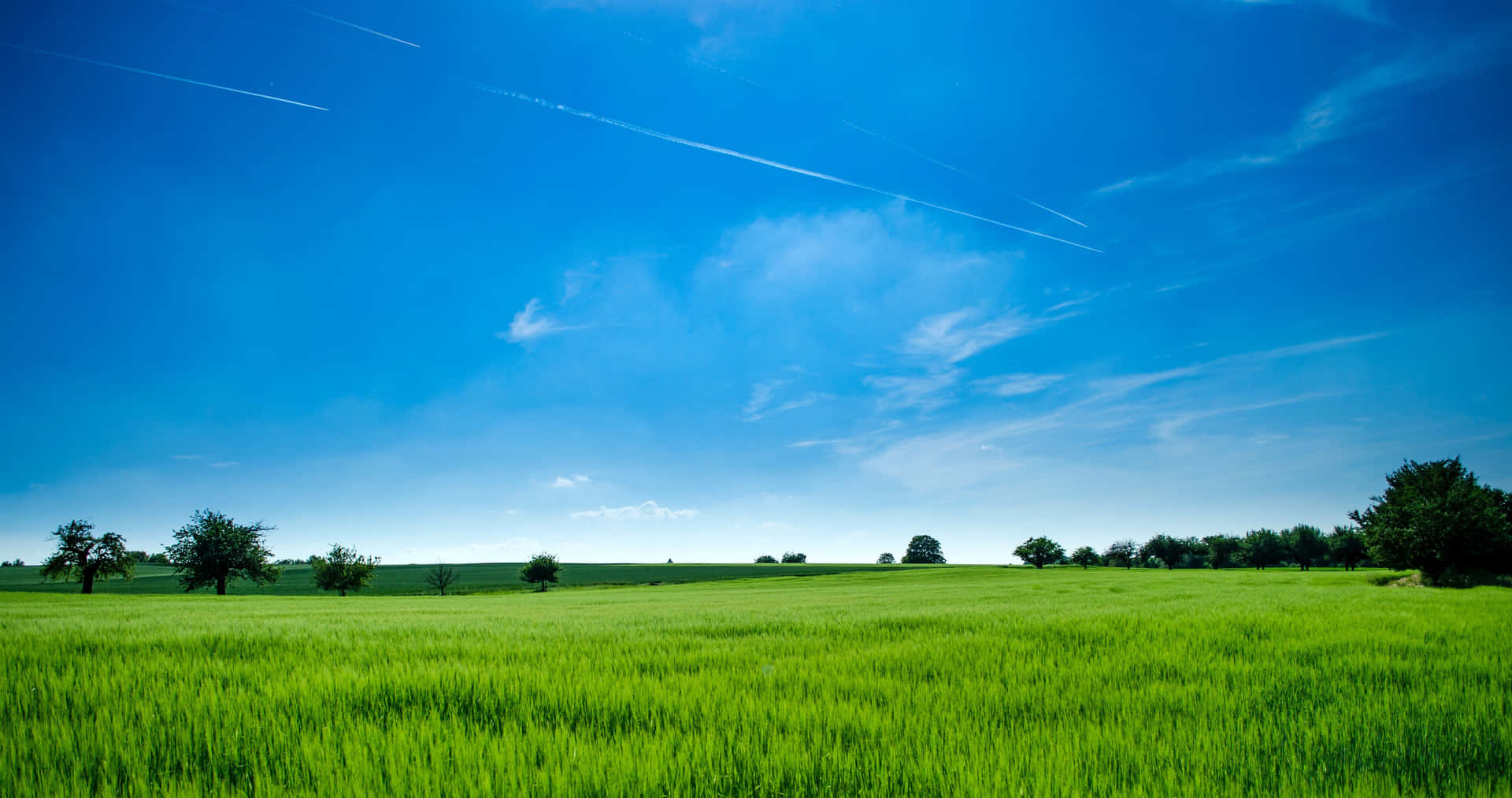 Agricultural Grass Land And Sky Background