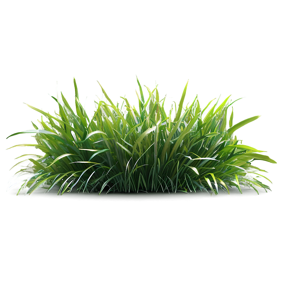 Grass B PNG